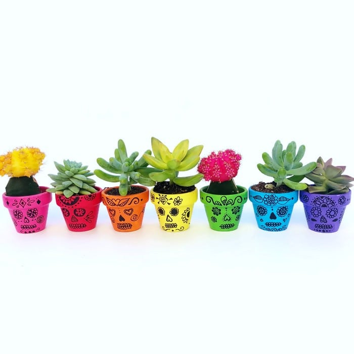 Sugar Skull Painted Flower Pots Craft